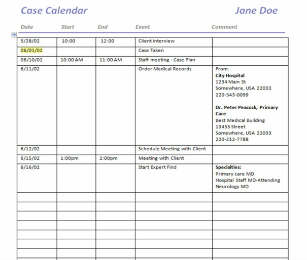 Case Calendar Legal Nurse Systems LLC